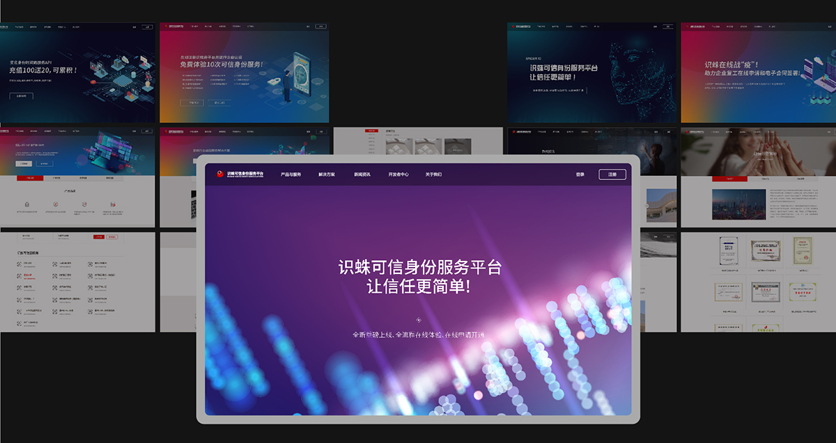 識(shí)蛛網(wǎng)站建設(shè)
